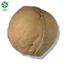 Buy Wholesale Xinguang Walnuts In Shell , Have A Jumbo Size