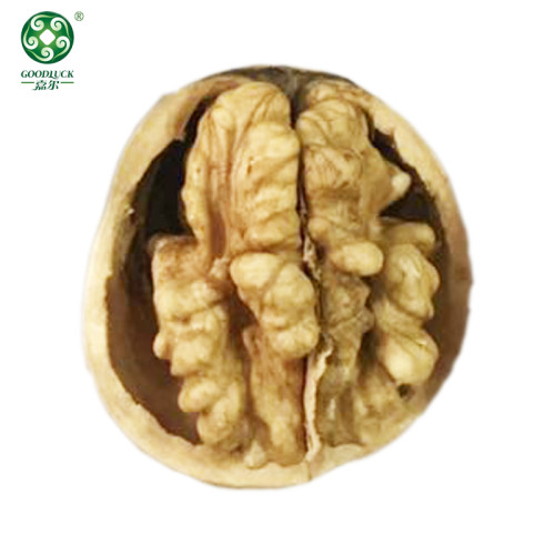 Buy Wholesale Xinguang Walnuts In Shell , Have A Jumbo Size