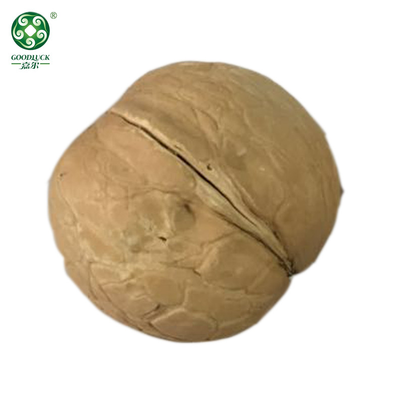 Walnuts In Shell wholesale,Xinjiang Walnuts In Shell,Walnuts In Shell china factory supplier