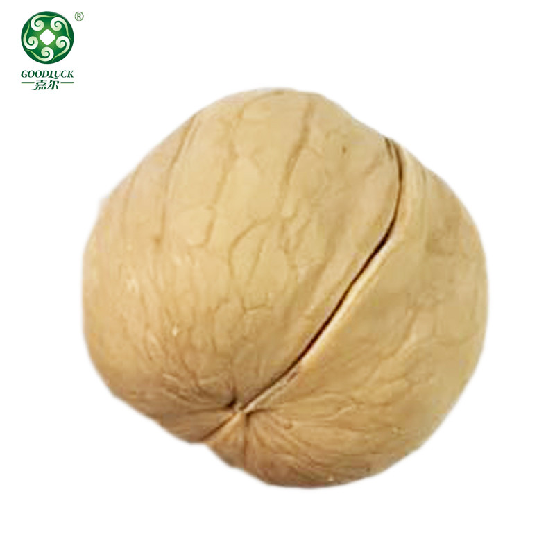 Walnuts In Shell wholesale,Xinjiang Walnuts In Shell,Walnuts In Shell china factory supplier