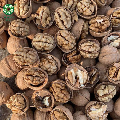 China Xinfeng Walnuts In Shell Walmart Washed And Unwashed