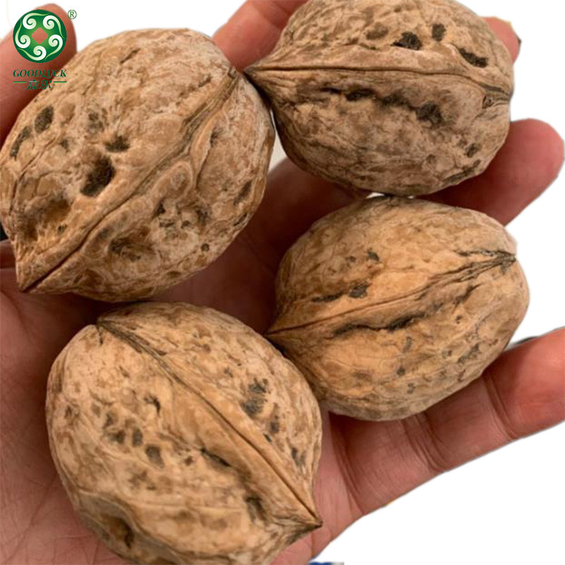 customized packs Walnuts In Shell,Washed Walnuts In Shell,Unwashed Walnuts In Shell,Xinjiang Walnuts In Shell,Walnuts In Shell Wholesale,Walnuts In Shell china supplier