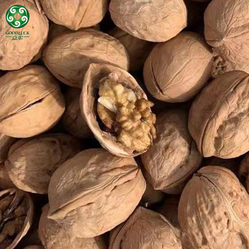 customized packs Walnuts In Shell,Washed Walnuts In Shell,Unwashed Walnuts In Shell,Xinjiang Walnuts In Shell,Walnuts In Shell Wholesale,Walnuts In Shell china supplier