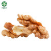 China Extra Light Halves Walnut Kernels Online At Reasonable Price