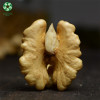 China Extra Light Halves Walnut Kernels Online At Reasonable Price