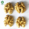 China Extra Light Halves Walnut Kernels Online At Reasonable Price