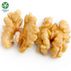 Light Halves Quarters Pieces Crumbs Walnut Kernels Factory Price