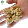 Light Halves Quarters Pieces Crumbs Walnut Kernels Factory Price