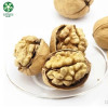 Light Halves Quarters Pieces Crumbs Walnut Kernels Factory Price