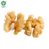 Nutraj Gold Light Ambre Moitiés Quarts Morceaux Miettes Noix De Noix