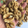 Quality Amber Halves Quarters Pieces Crumbs Walnut Kernels