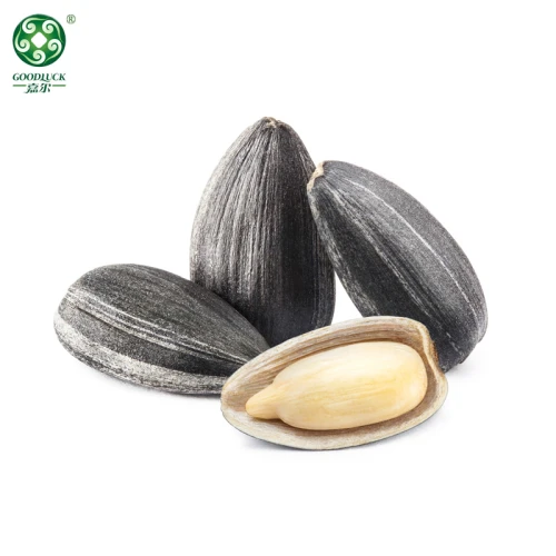 Black sunflower seeds wholesale | Organic Black Big Sunflower Seeds For Snacking And Oil