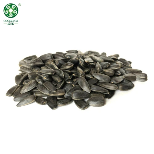 Black sunflower seeds wholesale | Organic Black Big Sunflower Seeds For Snacking And Oil