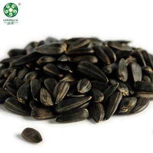 Black sunflower seeds wholesale | Organic Black Big Sunflower Seeds Nutrition Pesto With Rich Oil