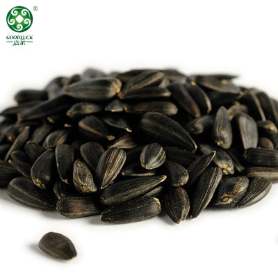 Black sunflower seeds wholesale | Organic Black Big Sunflower Seeds For Snacking And Oil