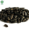 Organic Black Big Sunflower Seeds Nutrition Pesto With Rich Oil