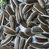 Organic Black Big Sunflower Seeds Nutrition Pesto With Rich Oil