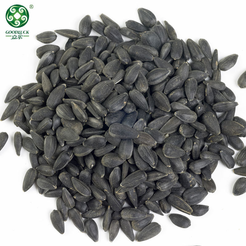 Black sunflower seeds in shell,Black sunflower seeds customized pack,Black sunflower seeds wholesale,sunflower seeds With Rich Oil