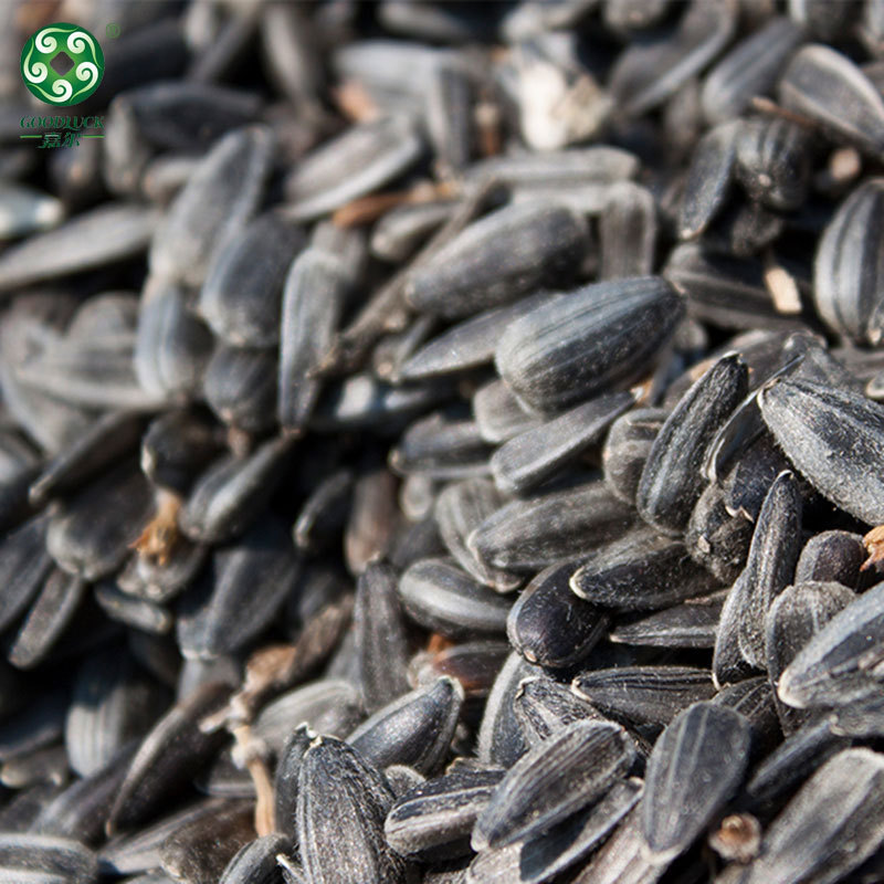 Black sunflower seeds in shell,Black sunflower seeds customized pack,Black sunflower seeds wholesale,sunflower seeds With Rich Oil