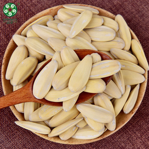 Roasted And Salted White Harvesting Sunflower Seeds In Shell