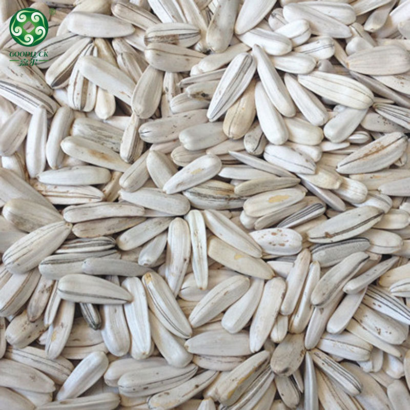 Private Label sunflower seeds,Sunflower Seeds In Shell supplier,Strict quality control sunflower seeds,White sunflower seeds  in shell wholesale
