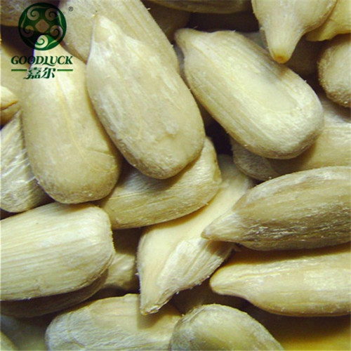 China Manufacturer's Wholesale Sunflower Seed Kernels At Factory Price