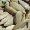 China Manufacturer's Wholesale Sunflower Seed Kernels At Factory Price