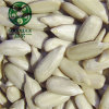 China Manufacturer's Wholesale Sunflower Seed Kernels At Factory Price