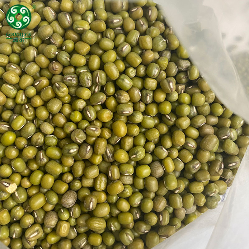 Non GMO Mung Bean wholesale,Non GMO Mung Bean supplier,without additive Mung Bean,Export green mung bean