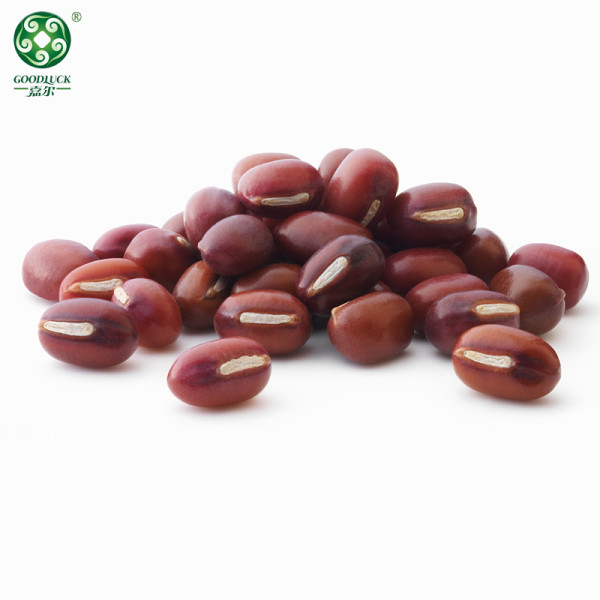 China Manufacture GOODLUCK Quality Red Adzuki Beans At Wholesale Price Are New Crop