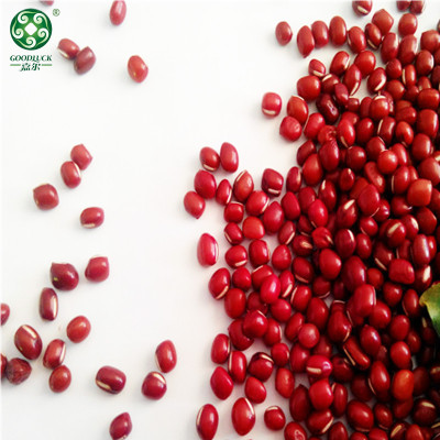 China Manufacture GOODLUCK Quality Red Adzuki Beans At Wholesale Price Are New Crop