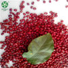 China Manufacture GOODLUCK Quality Red Adzuki Beans At Wholesale Price Are New Crop