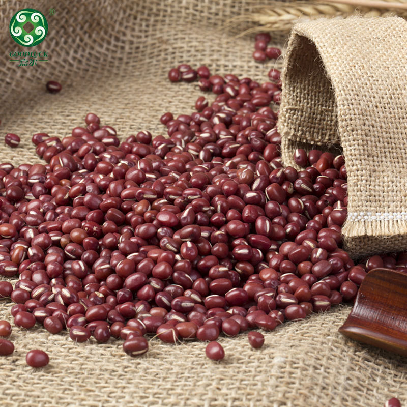 red beans customized packs,red beans private label,Heilongjiang Red Beans,Red Adzuki Beans supplier,Red Beans china factory