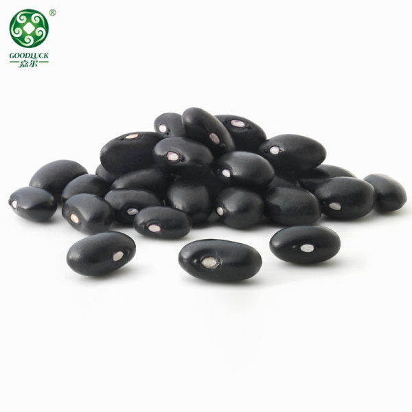 Hot-Sale On Long Shape Dried Black Kidney Beans At Wholesale Price