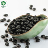 Hot-Sale On Long Shape Dried Black Kidney Beans At Wholesale Price