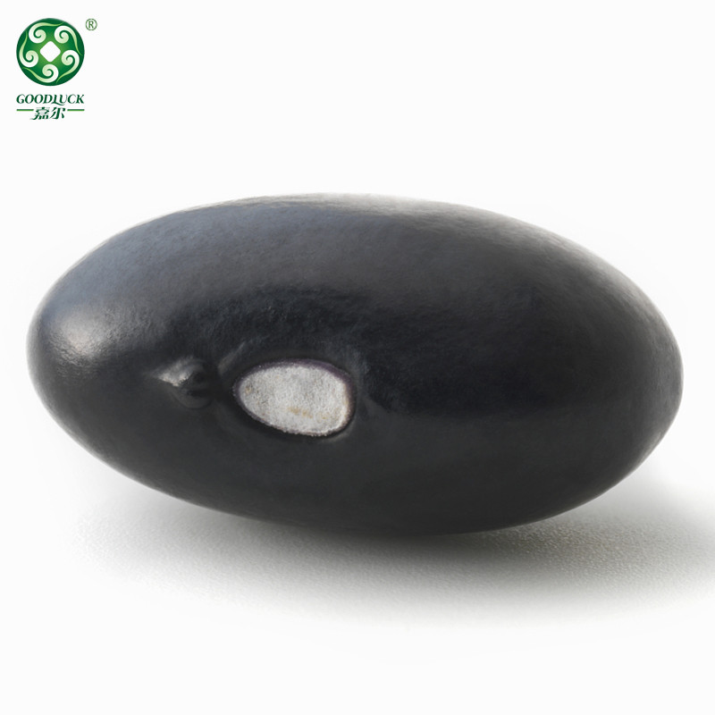 customized packs Black Kidney Beans,Black Kidney Beans wholesale,Black Kidney Beans china factory,Black Kidney Beans private label