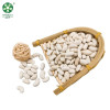 Wholesale White Kidney Beans Of Xinjiang GOODLUCK At Low Price