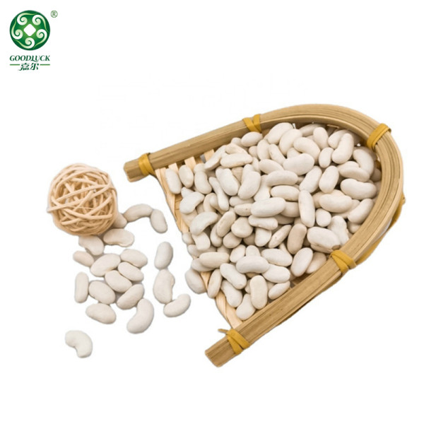 Wholesale White Kidney Beans Of Xinjiang GOODLUCK At Low Price