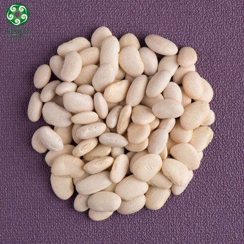 Wholesale White Kidney Beans Of Xinjiang GOODLUCK At Low Price