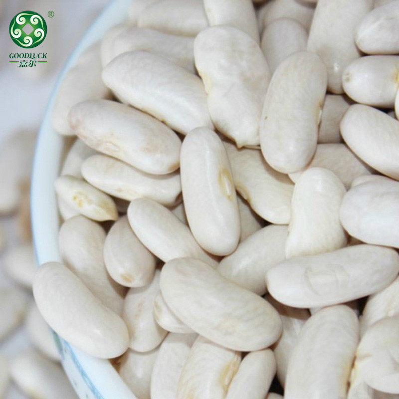 Non-GMO White Kidney Beans,Customized White Kidney Beans,China White Kidney Beans,White Kidney Beans Private Label