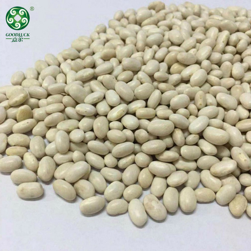 Non-GMO White Kidney Beans,Customized White Kidney Beans,China White Kidney Beans,White Kidney Beans Private Label