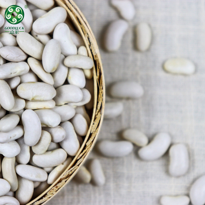Non-GMO White Kidney Beans,Customized White Kidney Beans,China White Kidney Beans,White Kidney Beans Private Label