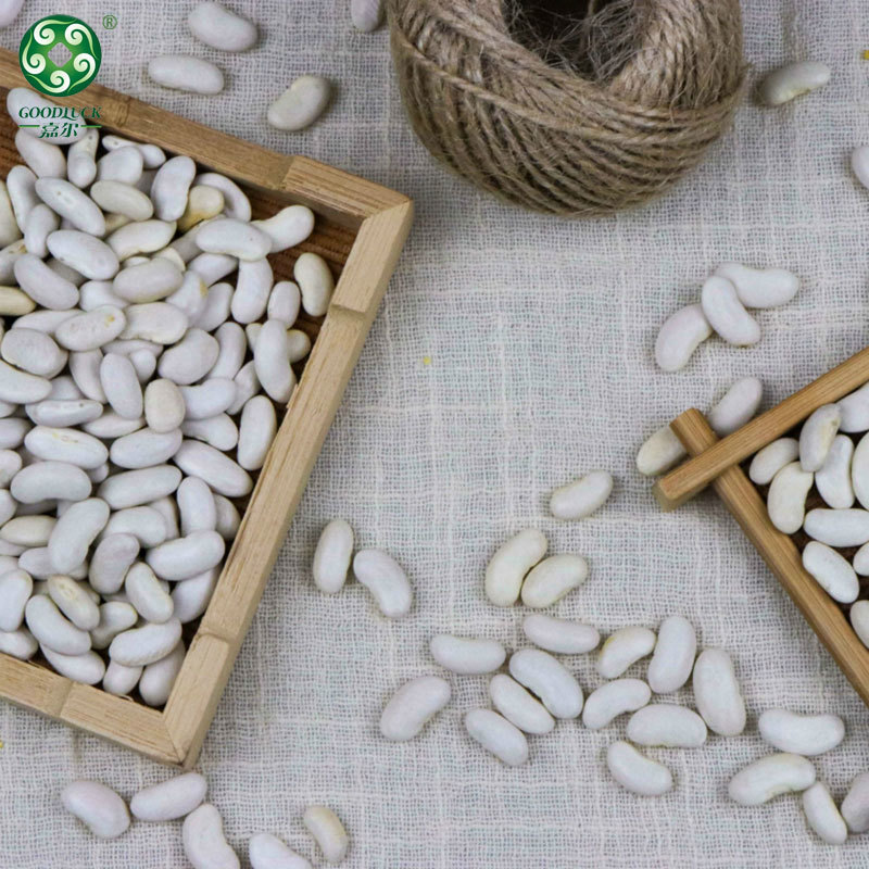 Non-GMO White Kidney Beans,Customized White Kidney Beans,China White Kidney Beans,White Kidney Beans Private Label