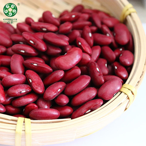 Top Quality China Red Kidney Beans Supplied By Manufacturer