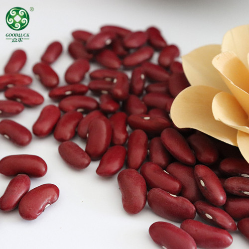 Top Quality China Red Kidney Beans Supplied By Manufacturer