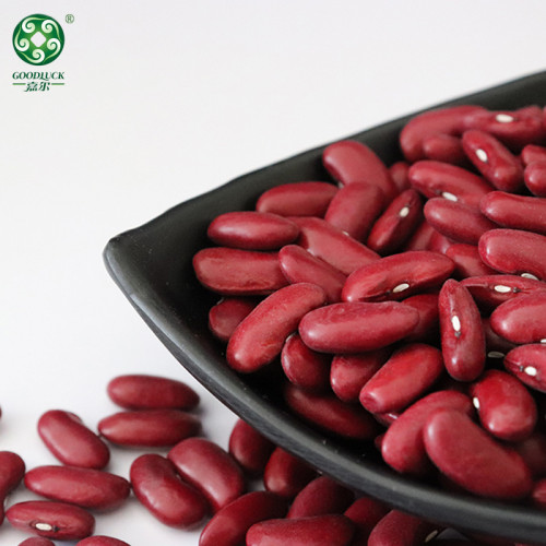 Top Quality China Red Kidney Beans Supplied By Manufacturer