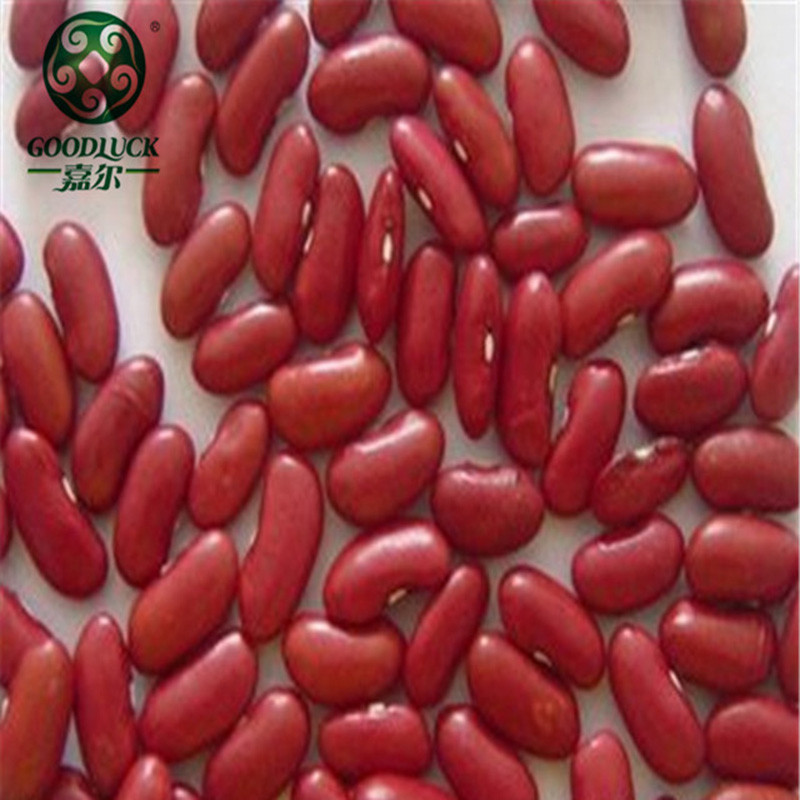 Dried Red Kidney Beans,Wholesale Red Kidney Beans,China Red Kidney Beans factory supplier
