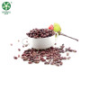 Long Shape Purple Speckled Kidney Beans At Wholesale Price