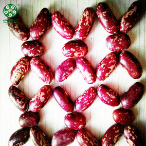 Newest Crop Long Shape Purple Speckled Kidney Beans At Wholesale Price For With Private Serivice