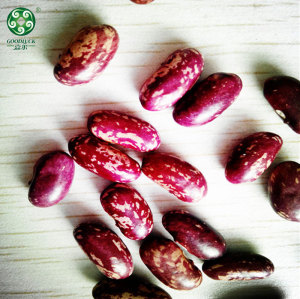 Long Shape Purple Speckled Kidney Beans At Wholesale Price